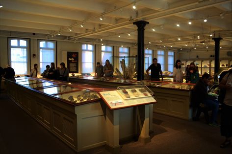 #Harvard #museum #nature #history #naturalhistory #architecture #building #design #education #science #Cambridge      https://flic.kr/p/2aK2omE | The Harvard Museum of Natural History, Cambridge, MA. | Photo: Meral Ekincioglu, Ph.D. For the museum: hmnh.harvard.edu/about-museum Education Science, Cambridge Ma, Architecture Building Design, Museum Of Natural History, Visual Diary, Design Education, Architecture Building, Building Design, Natural History