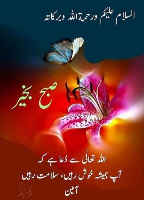 Subha Bakhair, Cute Good Morning Gif, Eid Images, Good Morning Wishes Gif, Good Morning Love Gif, Good Day Messages, Good Morning Greeting Cards, Assalamualaikum Image, Good Morning Flowers Quotes