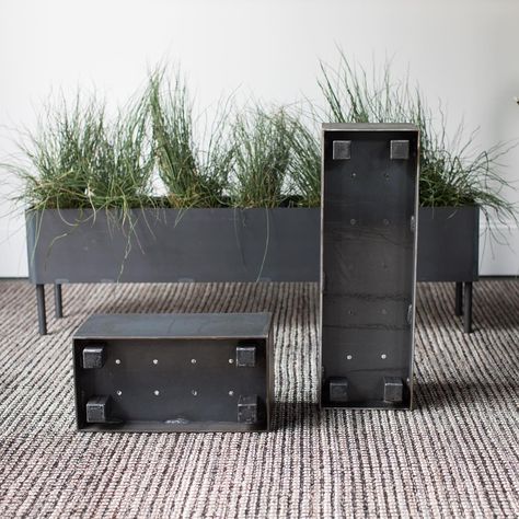 Steel + Plank | Athens, GA on Instagram: “Simple steel planters on feet, on legs or on casters. Perfect container for planting lettuce or other fall veggies. . .oh, and it’s great…” Outdoor Ice Bucket, Planting Lettuce, Fenced Vegetable Garden, Fall Veggies, Pine Coffee Table, Steel Coffee Table, Steel Planters, Loft Decor, Blackened Steel