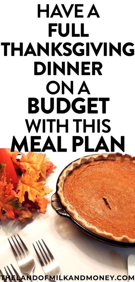 Simple Thanksgiving Dinner, Easy Thanksgiving Dinner, Simple Thanksgiving, Thanksgiving Dinner Recipes, Thanksgiving Dinner Table, Budget Meal Planning, Dinner On A Budget, Healthy Recipes On A Budget, Cooking For A Crowd