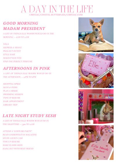 Tumblr Elle Woods Room, Study Like Elle Woods, Romanticize School, Pink Academia, Girly Movies, Pretty Pink Princess, Study Methods, Lifestyle Business, Elle Woods