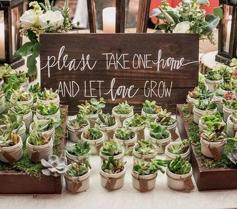 Let love grow with these gorgeous succulent wedding favours! #succulents #weddingfavours #weddingday Wedding Extras, Succulent Wedding Favors, Let Love Grow, Succulent Favors, Country House Wedding Venues, Succulent Cuttings, Succulent Centerpieces, Succulent Wedding, Mini Succulents