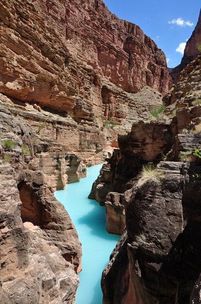 Havasu Creek Arizona, Future Travel, Pretty Places, Oh The Places Youll Go, Places Around The World, Blue Water, Vacation Spots, Dream Vacations, Travel Usa