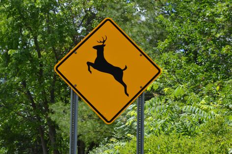 Deer Crossing Sign Safety Planning, Deer Crossing, Safety Video, Crossing Sign, State Of Michigan, How To Stay Awake, Statistics, The List, Deer