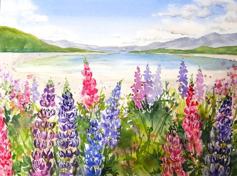 Let’s Paint Lupines! – The Frugal Crafter Blog The Frugal Crafter, Beginner Watercolor, Lupine Flowers, Paint With Me, Beginner Art, Different Art Styles, Watercolor Paints, Local Library, Night Painting