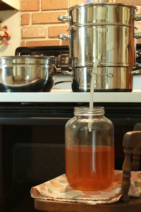 Apple Cider Canning Recipes, Water Bath Canning Juice, Canning Apple Juice With Juicer, Juice Steamer Recipes, Homemade Apple Juice With Juicer, Steam Juicer Recipes Canning, Steam Juicer Recipes, Canning Apple Cider, Canning Apple Juice