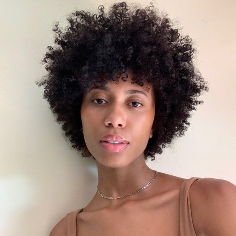 4c Shag Haircut, Afro Medium Hair, Short Curly Haircuts 4c Hair, Short 4b Afro, Coily Short Haircut, Round Natural Hair Shape, Round Afro Shape, 4b Afro Short, Coily Hair Short