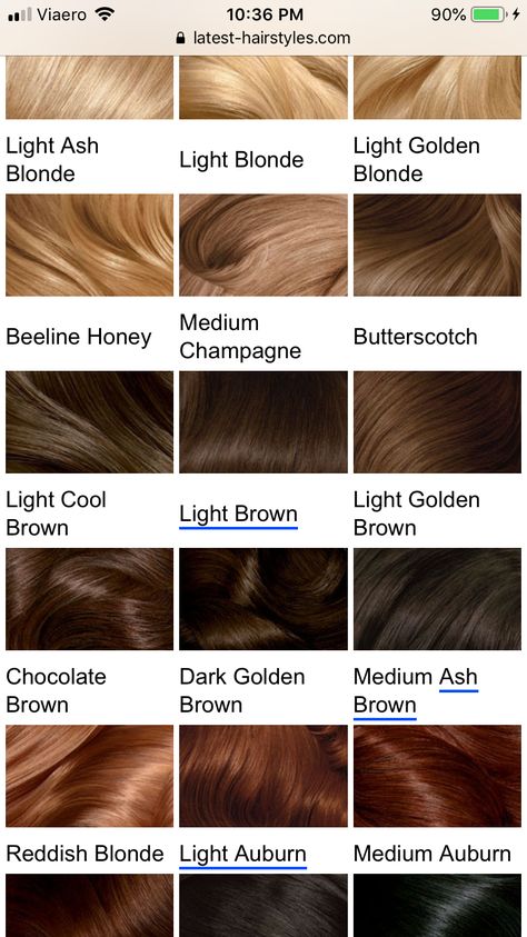 Brown Hair With Gold Undertones, Brown Hair Colors Chestnut, Chocolate Brown Hair Men, Chest Nut Brown Hair, Light Brown With Red Undertones, Dark Bronze Hair, Chocolate Chestnut Hair Color, Pelo Marron Chocolate, Brown Hair Palette