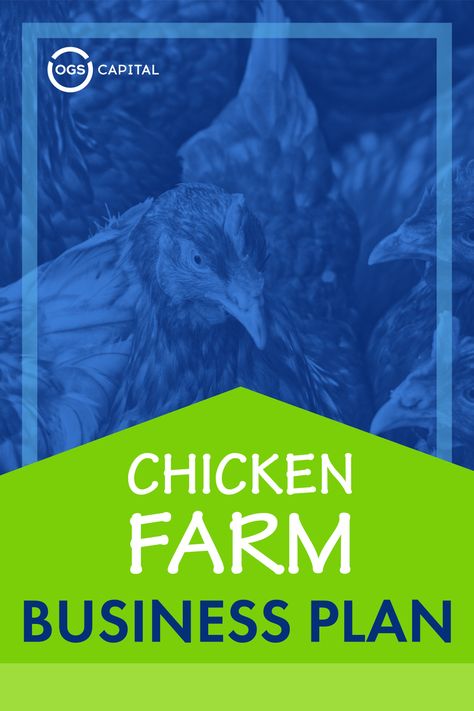 Poultry Farming Business Plan, Pasture Chickens, Poultry Farm Buildings, Agriculture Business Plan, Farm Business Plan, Chicken Business, Poultry Farm Design, Business Development Plan, Business Plan Sample