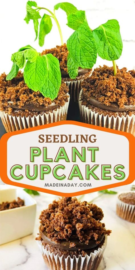 Earth Day Desserts, Plant Cupcakes, Flower Pot Cupcakes, Cupcake Flower Pots, Tree Cupcakes, Spring Cupcakes, Homemade Sweets, Arbour Day, Plant A Tree