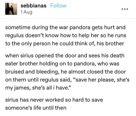 Marauders One Shots, Harry Potter Marauders Headcanon, The Mauraders Era, Marauders Era Headcanons, Marauders Text Posts, Pandora Marauders, Marauders Era Tweets, Marauders Tumblr, Regulus And Pandora