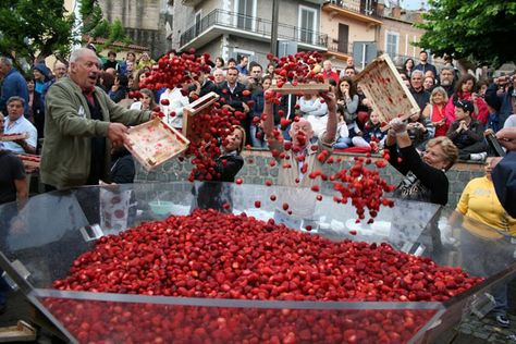 Lake Nemi and its Wild Berry via ITALY Magazine Nemi Italy, Rome Colosseum, Strawberry Festival, Rome City, Wild Strawberry, Food Experience, When In Rome, Regions Of Italy, Wild Strawberries