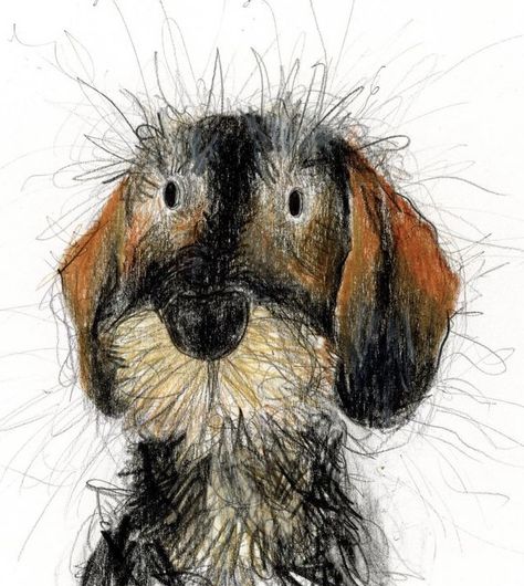 Catherine Rayner, Wire Haired Dachshund, 강아지 그림, Animal Illustrations, Dog Drawing, Dog Paintings, Dachshund Dog, A Drawing, Dog Portraits