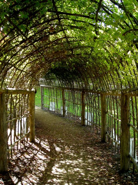 Hammock Area, Paddock Paradise, Garden Arbor, Have Inspiration, Garden Pathway, Backyard Projects, Garden Structures, Backyard Landscaping Designs, Garden Paths