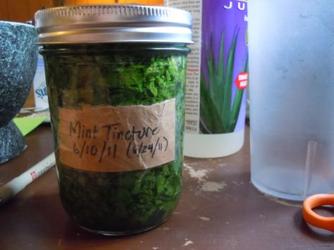 Mint Tincture, Mint Growing, Drying Fresh Herbs, Herb Tinctures, Tinctures Recipes, Herbal Medicine Recipes, Diy Herbal Remedies, Wild Mint, Sick Remedies