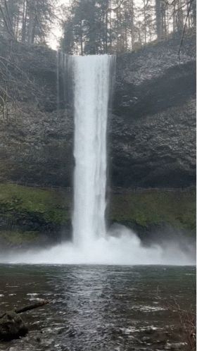 Waterfalls Dont Go Chasing Waterfalls GIF - Waterfalls Dont Go Chasing Waterfalls - Discover & Share GIFs Waterfalls Gif, Waterfall Gif, Butterflies Gif, Butterfly Gif, Chasing Waterfalls, Gif Animation, Cool Eyes, Animated Gif, Cool Gifs