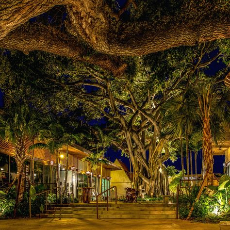 Upper Buena Vista – Mall Review | Condé Nast Traveler Evening Meditation, Things To Do In Miami, Pet Spa, Frequent Flyer Miles, Conde Nast Traveler, Conde Nast, Miami Design, Florida Travel, Yoga Retreat