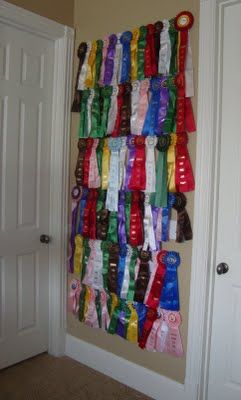 Have to remember this. I had used picture wire along the top of my entire room growing up. When I ran out of space, this would have helped! Horse Ribbon Display, Show Ribbon Display, Horse Show Mom, Horse Bedroom, Horse Show Ribbons, Horse Ribbons, Horse Room, Trophy Display, Ribbon Display