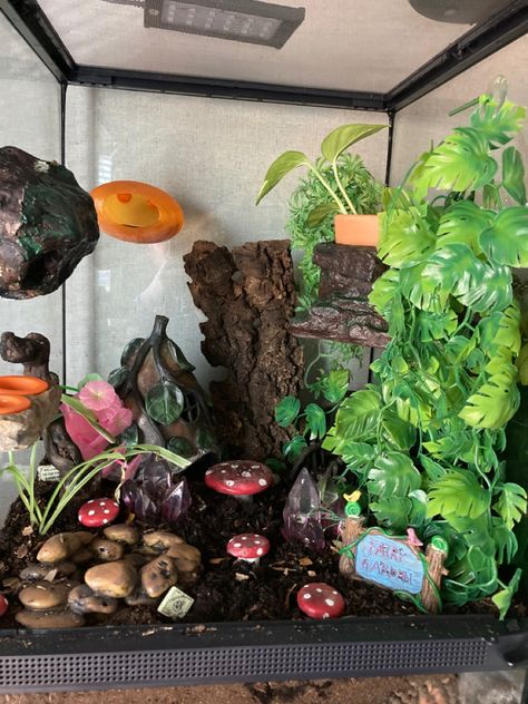 Fairy Garden Reptile Enclosure, Creative Snake Enclosures, Fairy Garden Leopard Gecko Tank, Cute Crested Gecko Tank Ideas, Cute Snake Enclosure Ideas, Diy Gecko Tank Decor, Lepord Gecko Habitat Ideas Aesthetic, Crested Gecko Terrarium Ideas Diy, Aesthetic Snake Enclosure