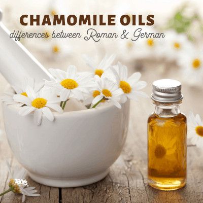 Understanding Chamomile Essential Oils Face Serum Recipe, Palmarosa Essential Oil, Roman Chamomile Essential Oil, Anti Aging Face Serum, Creme Anti Age, Diy Kosmetik, Chamomile Essential Oil, Essential Oil Benefits, Skin Disorders