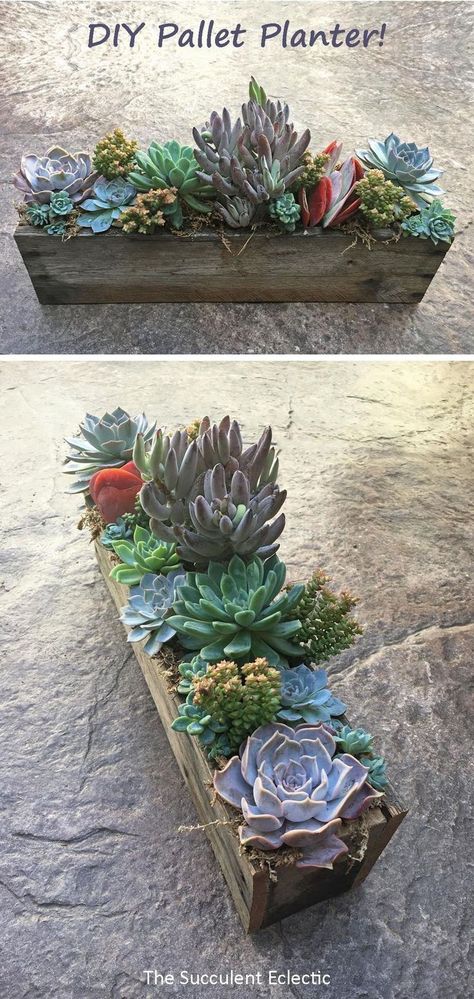 How To Make A Succulent Planter, Diy Pallet Planter, Diy Succulent Planter, Wooden Succulent Planter, Diy Planters Indoor, Cool Succulents, Indoor Succulent Planter, Pallet Planter Box, Wood Succulent Planter