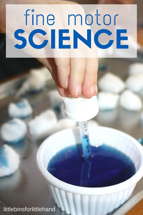 This simple water absorption fine motor science experiment is perfect for young children and very easy to set up! Fun fine motor play. Water Experiments For Kids, Water Properties, Ocean Activity, Weather Activities Preschool, Pre-k Science, Preschool Weather, Experiment For Kids, Weather Theme, Fine Motor Activities For Kids