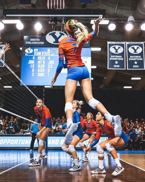 Florida Gators Volleyball, Uf Volleyball, Volleyball Action Shots, Florida Volleyball, College Volleyball, Volleyball Photography, Vision Bored, Vertical Jump, Chomp Chomp