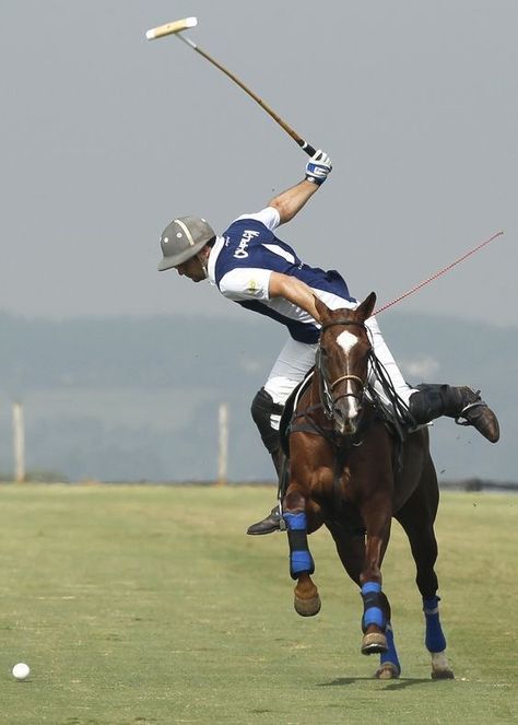 Polo Artwork, Equine Fashion, Horse Polo, Polo Horse, Polo Team, Into The West, Sport Of Kings, Golf Design, Polo Pony