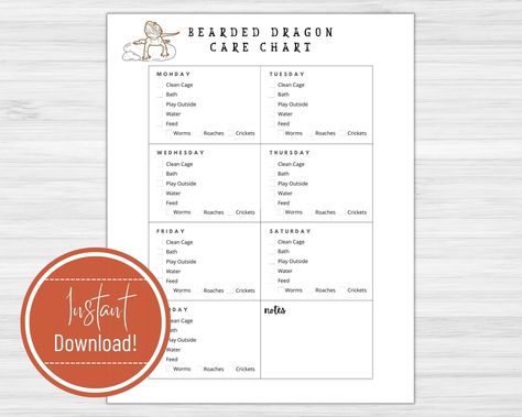 Excited to share the latest addition to my #etsy shop: Simple Bearded Dragon Care Chart Printable Download #carechartprintable #pettodolist #beardeddragoncare #beardeddragonchart #beardiecarechart #beardiecaretracker #beardietodolist Bearded Dragon Habitat Ideas, Chameleon Care, Bearded Dragon Habitat, Kids Checklist, Bearded Dragon Care, Kid Responsibility, Reptiles Pet, Copy Paper, Bearded Dragon