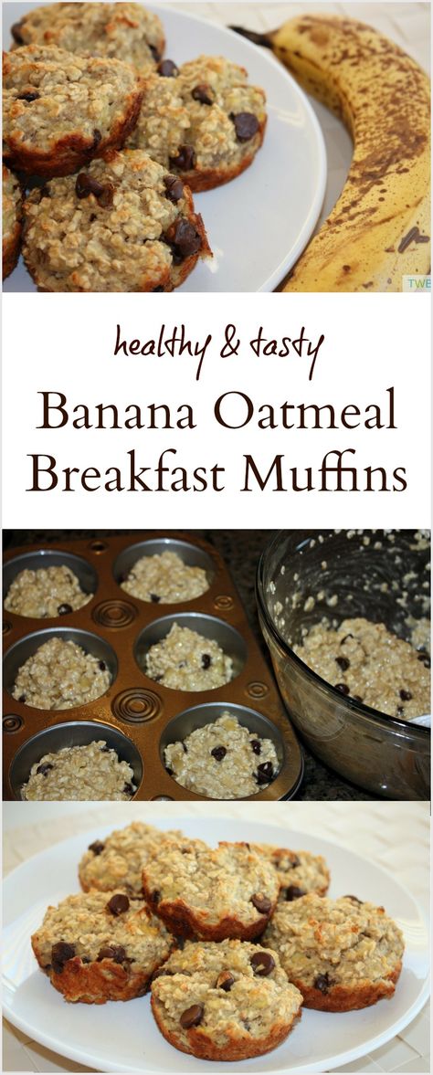 Banana Oatmeal Muffins - The Write Balance Muffins Decorados, Oatmeal Banana Muffins, Oatmeal Breakfast Muffins, Banana Oatmeal Muffins Healthy, Muffins Banana, Next Time, For Breakfast, Banana Oatmeal Muffins, Oatmeal Banana