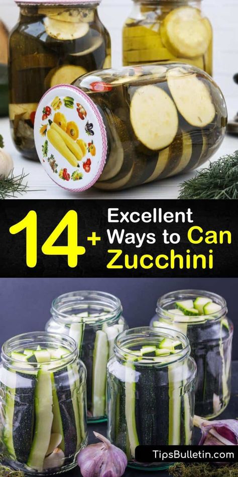 Pressure Canning Zucchini Recipes, Can Zucchini Be Canned, Pressure Canning Zucchini, How To Process Zucchini, Pickled Zucchini Canning, Vegan Pressure Canning Recipes, Can You Can Zucchini, Canning Recipes Zucchini, Preserving Zucchini Recipes