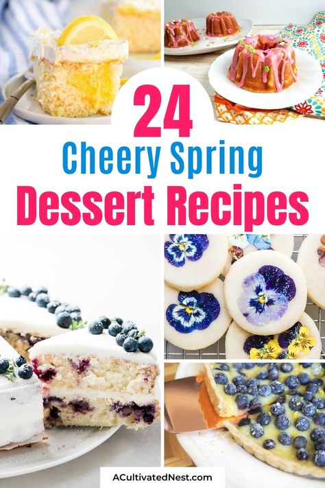 24 Cheery Spring Dessert Recipes- For something bright, cheery, and delicious to celebrate the start of spring, you should make these cheery spring dessert recipes! | spring recipes, brightly colored desserts, #springBaking #springDesserts #dessertRecipes #desserts #ACultivatedNest Spring Dessert Recipes, Spring Baking Recipes, Spring Time Desserts, Spring Recipes Dessert, Orange Baking, Start Of Spring, Spring Dessert, Spring Baking, Spring Treats