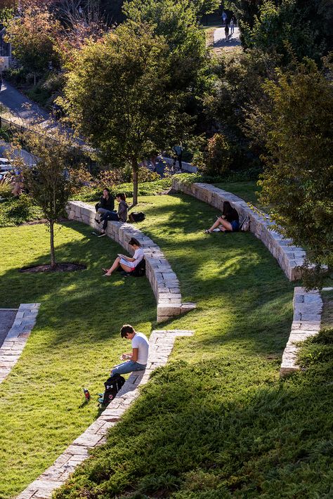 Boston College, Stephen Stimson Landscape Architects. Landscape Sitting Area Design, Sport Park Landscape, Forest Amphitheater, Inclusive Design Architecture, Community Park Design, Public Garden Architecture, Eco Camp, Terraced Landscaping, Landscape Stairs