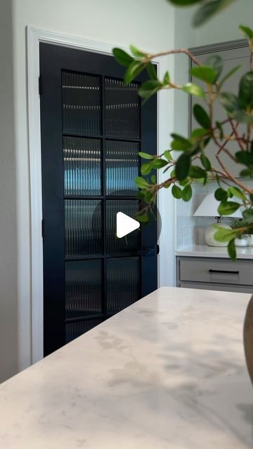 Rachel Van Schyndel on Instagram: "Pantry door upgrade 🖤 Love how it changed the space! And the black makes it feel so much bigger in here 🤩  Everything linked on my LTK!

#home #kitchen #kitchendesign #kitchenbeforeandafter #homedesign #pantrydoor #pantrymakeover #pantrydoorupgrade #organicmodern #neutralhome #neutralkitchen #kitchendecor #kitcheninspo #homeproject #diy #diyproject #homediy #buildergradeupgrade" Tommy Richman, Kitchen Pantry Doors, Pantry Makeover, Neutral Kitchen, Builder Grade, Door Upgrade, Pantry Door, Black Kitchens, Kitchen Pantry