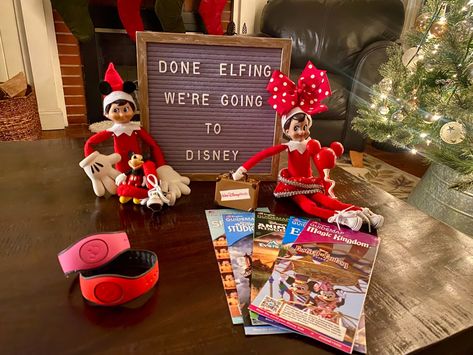 We’re going to Disney World! Going To Disney World, Going To Disney, On The Shelf, Magic Kingdom, Elf On The Shelf, Happy Places, Disney World, Disneyland, Cocoa