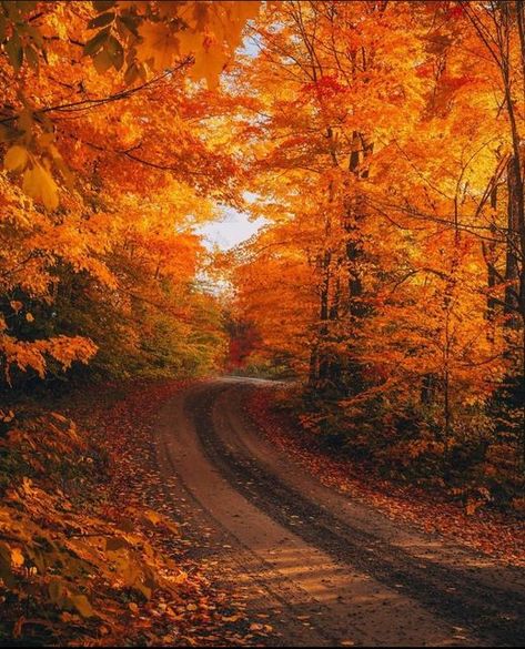 New England Travel, Road Trip Planning, Autumn Scenery, Dirt Road, Love Travel, Autumn Beauty, Fall Pictures, Best Seasons, Road Trip Itinerary