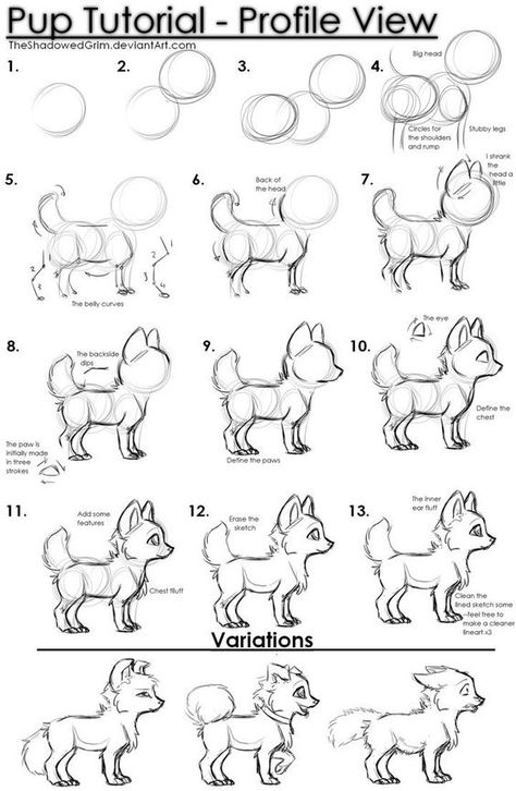 Pup tutorial by TheShadowedGrim on DeviantArt: Drawing Anatomy, Drawing Eyes, Drawing Animals, Animal Doodles, 강아지 그림, Seni Cat Air, Homeschool Art, Sketch Ideas, Fairytale Art