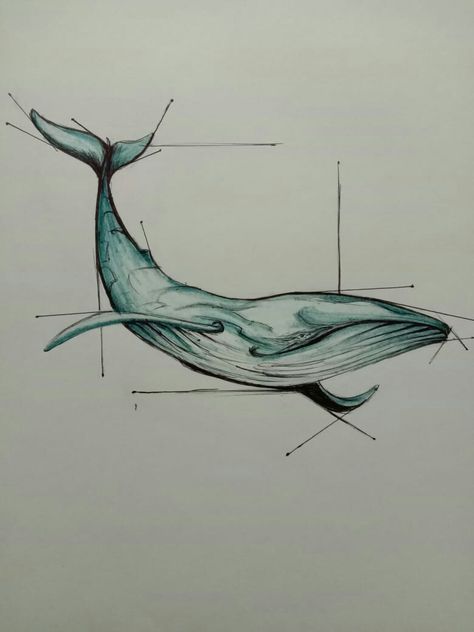 Blue Whale Sketch, Whale Side View, Blue Whale Illustration, Blue Whale Drawing, Baby Room Wall Design, Blue Whale Skeleton, Whale Sketch, Baleen Whales, Whale Drawing