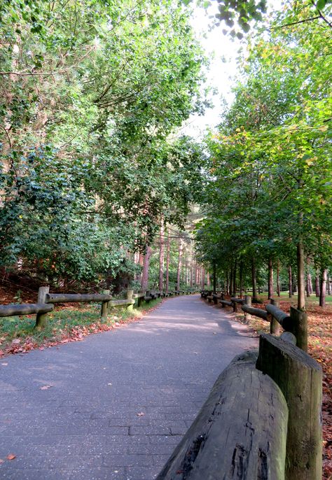 Elveden Center Parcs. Photo: WendyJames ~ October 2016 Center Parcs Aesthetic, Center Parcs Elveden, Centre Parcs Elveden, Centre Parcs, Center Parc, Centre Parks, Center Parcs, Center Park, 2022 Aesthetic