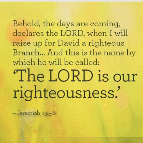 Jeremiah 23:5-6New International Version (NIV) 5 “The days are coming,” declares the Lord,     “when I will raise up for David[a] a righteous Branch, a King who will reign wis... Jeremiah 23, Psalm 86, A King, With All My Heart, Reign, The Lord, A A, Bible Study, Psalms