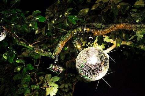 Uplighting on disco balls in trees. Brilliant! Disco Ball Outdoor, Disco Ball Garden, Disco Forest, Disco Kitchen, Disco Ball Tree, Memorial Service Decorations, Disco Ball Decorations, Outdoor Dance Floors, Fantasy Party