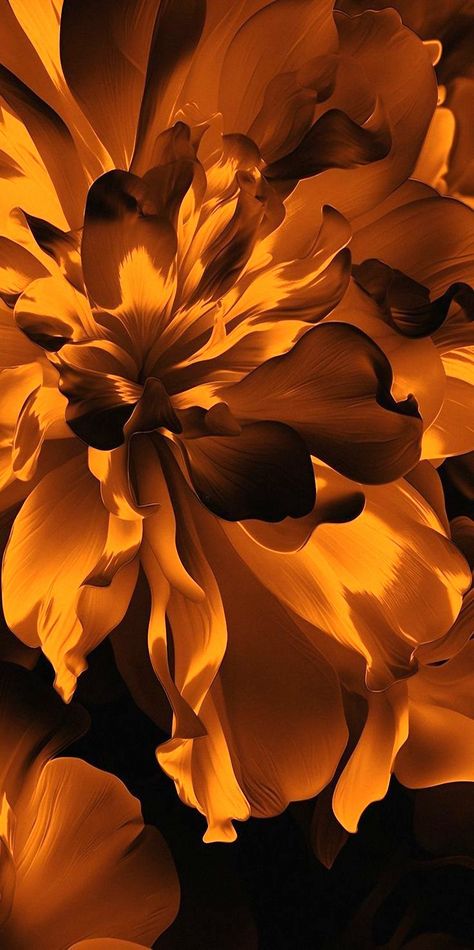 phone wallpapers colorful background Brown And Orange Wallpaper, Grey Orange Wallpaper, Dark Orange Wallpaper, Wallpapers Colorful, Color Wallpaper, Aesthetic Flowers, Brown And Orange, Orange Wallpaper, Colorful Background