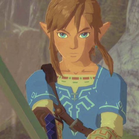 Botw Link Icon, Link Breath Of The Wild, Link Icon, Mbti Personality, Personality Type, Introverted, Breath Of The Wild, The Legend Of Zelda, Legend Of Zelda