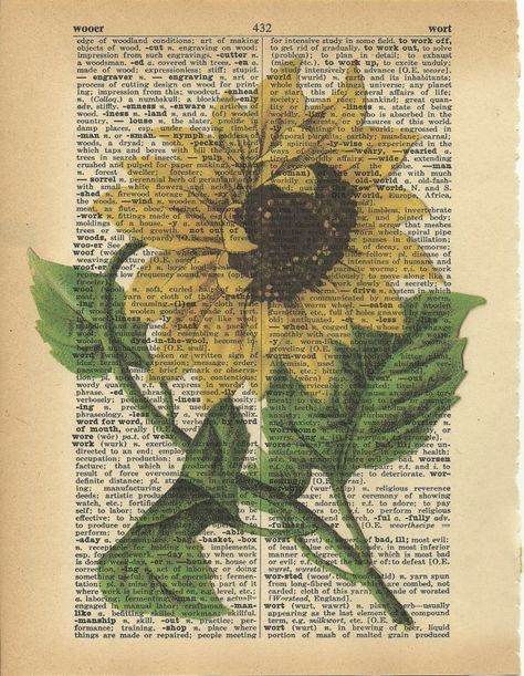 Sunflower 1 - Vintage Image printed on old Dictionary Page. $8.90, via Etsy. Vintage Sunflower Aesthetic, Sunflower Quotes, Sunflower Crafts, Sunflowers And Daisies, Book Page Art, Instagram Flowers, Dictionary Page, Flower Inspiration, Dictionary Art