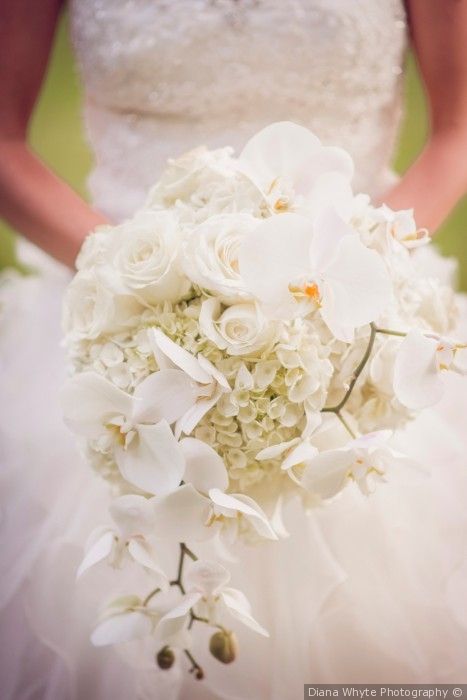 Rose And Hydrangea Bouquet, Wedding Flowers Gypsophila, Orchid Bridal Bouquets, Gold Wedding Flowers, Wedding Flowers Wildflowers, Bright Wedding Flowers, Neutral Wedding Flowers, Wedding Flowers Peonies, Peach Wedding Flowers