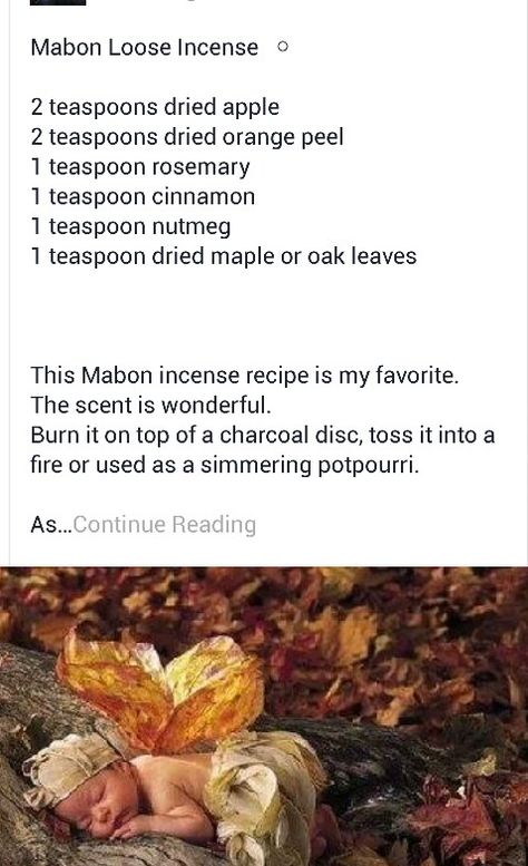 Mabon incense Loose Incense, Dried Orange Peel, Pagan Crafts, Which Witch, Autumnal Equinox, Kitchen Witchery, Eclectic Witch, Witch Diy, Witchcraft Spell Books