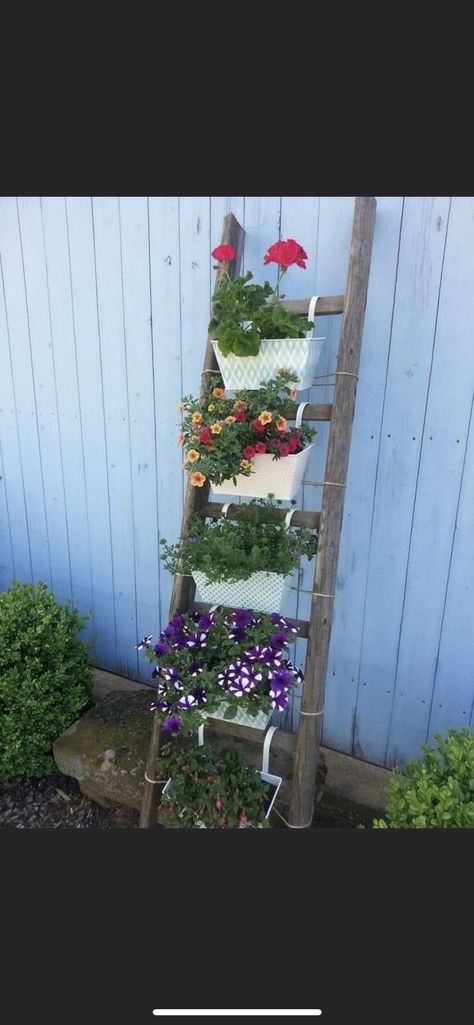 Garden Ladder Ideas, Bamboo Garden Fences, Garden Ladder, Diy Jardin, Old Ladder, Succulent Garden Design, Garden Decor Diy, Garden Decor Ideas, Creative Gardening