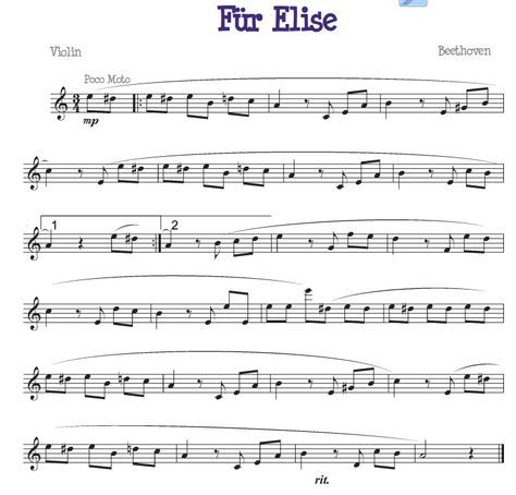 Fur Elise  for the beginner violinist Fur Elise Sheet Music, Violin Photography, Fiddle Music, Fur Elise, Cello Sheet Music, Trumpet Sheet Music, Native American Flute, Violin Sheet, Music Things