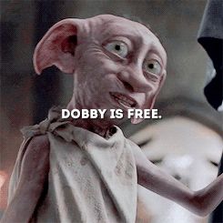 shepherdgreys: “Dobby is a free house-elf and he can obey anyone he likes and Dobby will do whatever Harry Potter wants him to do! ” Dobby Is Free, Dobby Harry, Widget Smith, House Elf, Free Dobby, Dobby Harry Potter, Harry Potter Hermione Granger, Perfect Movie, Harry Potter Hermione