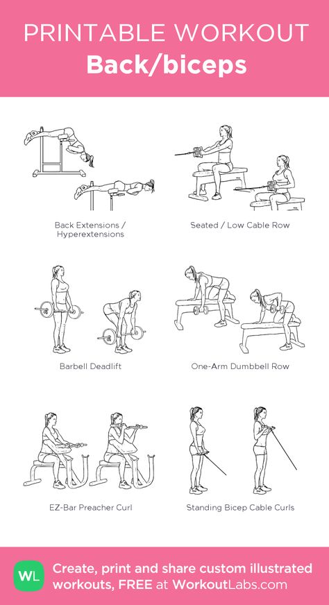 Back/biceps Women Back Workout, Workout For Back, Bicep Workout Gym, Back And Bicep Workout, Chest Workout Women, Workout Labs, Bicep Workout, Printable Workout, Gym Workout Plan For Women